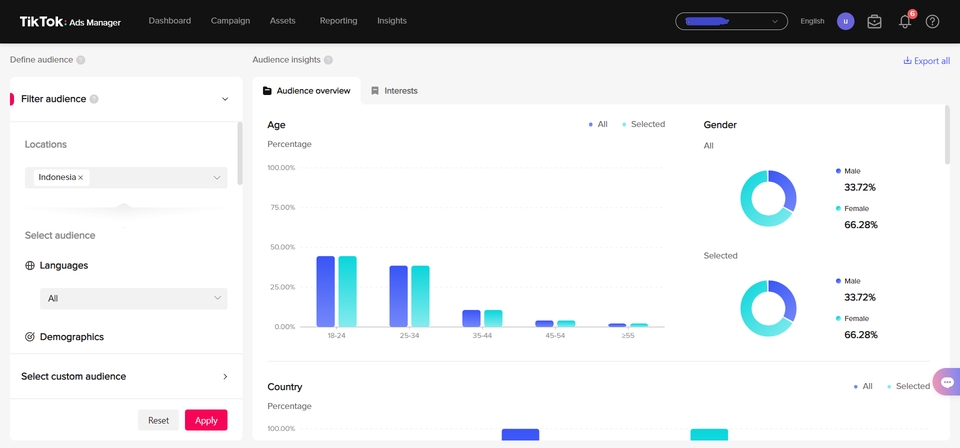 TikTok Audience Demographics Report