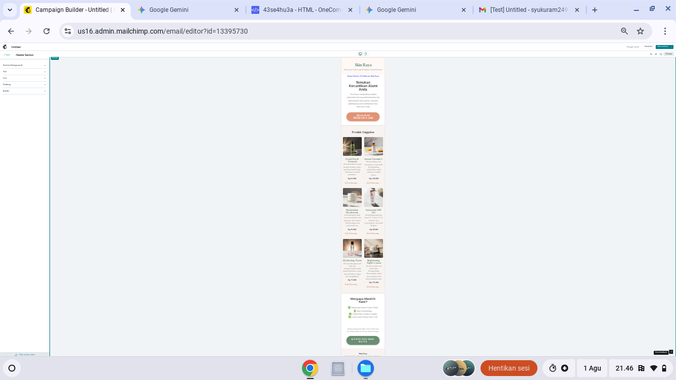 Skincare Email Marketing Campaign